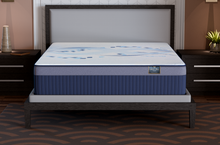 Carregar imagem no visualizador da galeria, Smart Sleep 12&quot; - Luxury Mattress provides a luxurious sleep surface that absorbs partner movement.